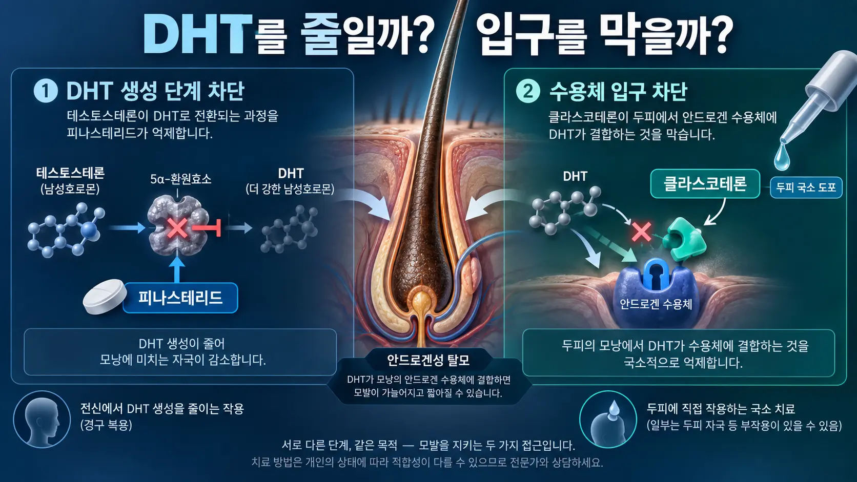 피나스테리드와 클라스코테론이 DHT에 작용하는 위치의 차이를 설명한 그림