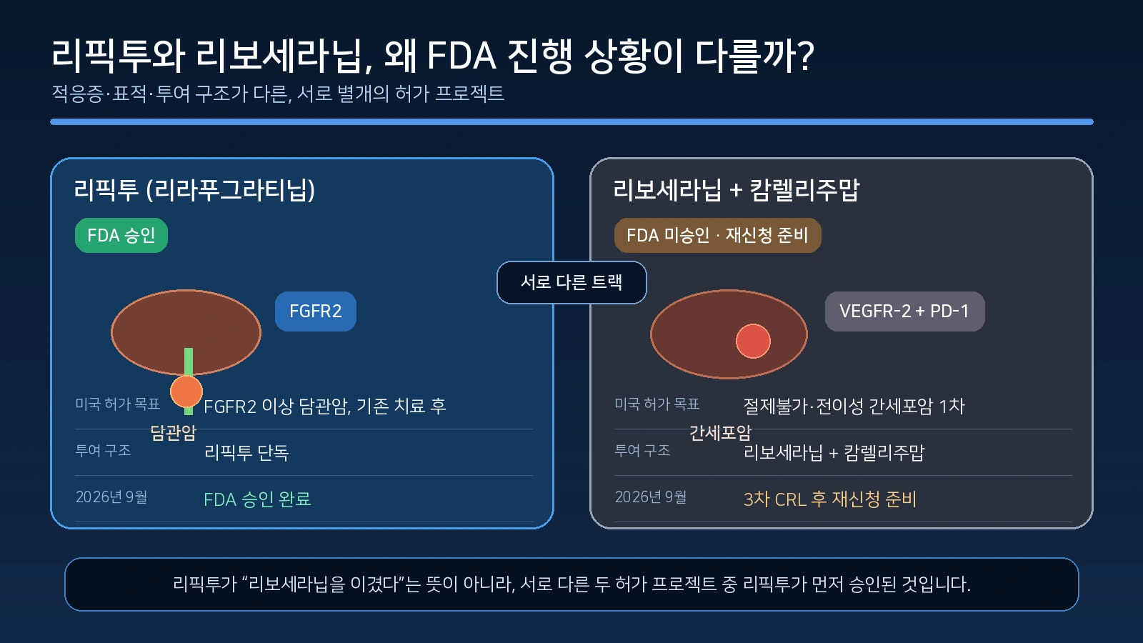HLB 리픽투와 리보세라닙의 적응증과 FDA 진행 상황 차이를 비교한 인포그래픽