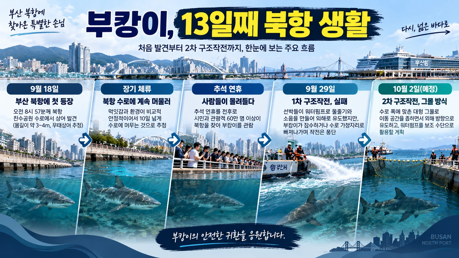 부캉이가 부산 북항에 나타난 뒤 구조작전까지의 과정을 정리한 타임라인