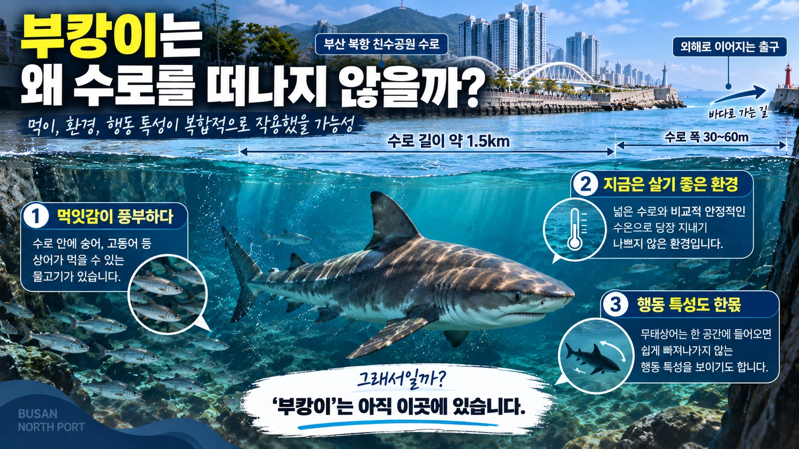 부산 북항 인공수로가 부캉이에게 머물 만한 환경이 된 이유를 설명한 구조도