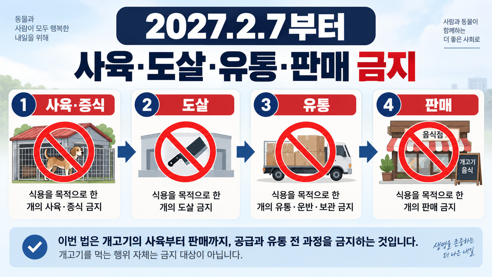 개 식용 목적의 사육과 도살, 유통, 판매가 금지되는 구조를 단계별로 나타낸 인포그래픽