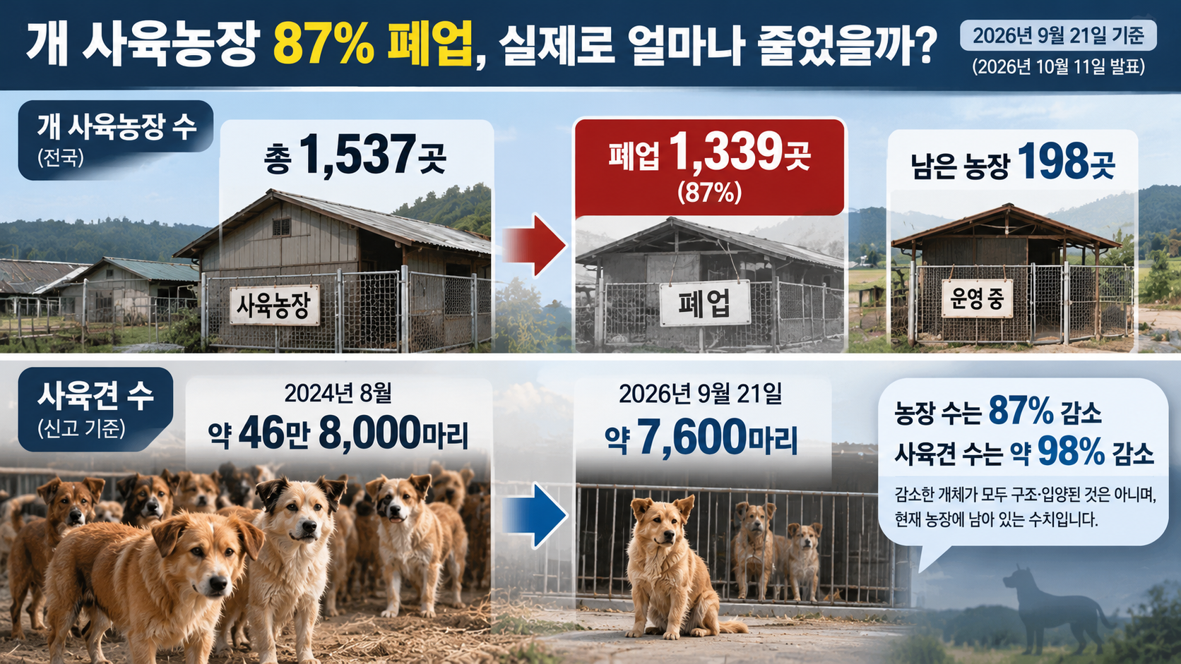 개 사육농장 1,537곳 중 1,339곳 폐업과 남은 198곳, 사육견 46만8천 마리에서 7,600마리로 감소한 통계를 비교한 인포그래픽