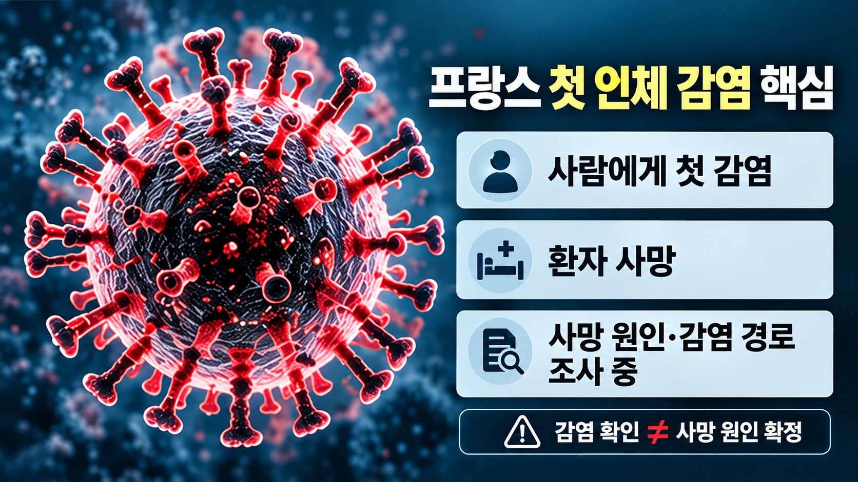 샤몬다 바이러스의 첫 인체 감염 확인, 환자 사망, 사망 원인과 감염 경로 조사 상황을 구분한 도식
